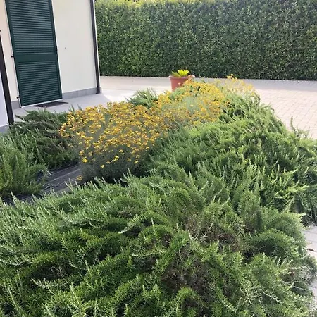 Rta La Pineta Apartahotel